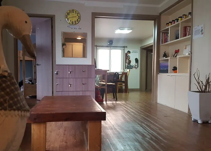Birdsnest Hongdae Foreigner Only Seoel