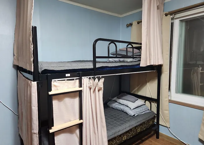 Birdsnest Hongdae Foreigner Only