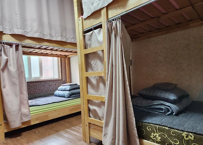 Birdsnest Hongdae Foreigner Only *