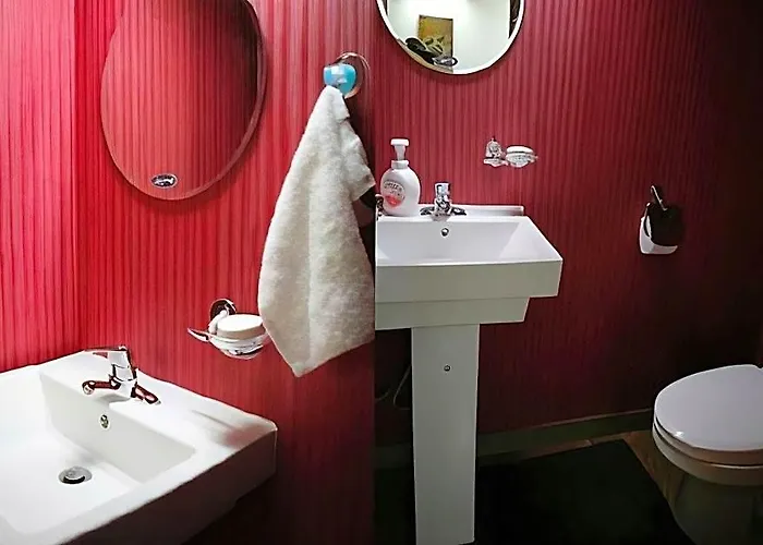 Birdsnest Hongdae Foreigner Only