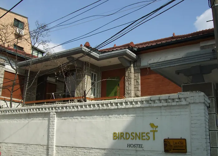 Birdsnest Hongdae Foreigner Only Seoel