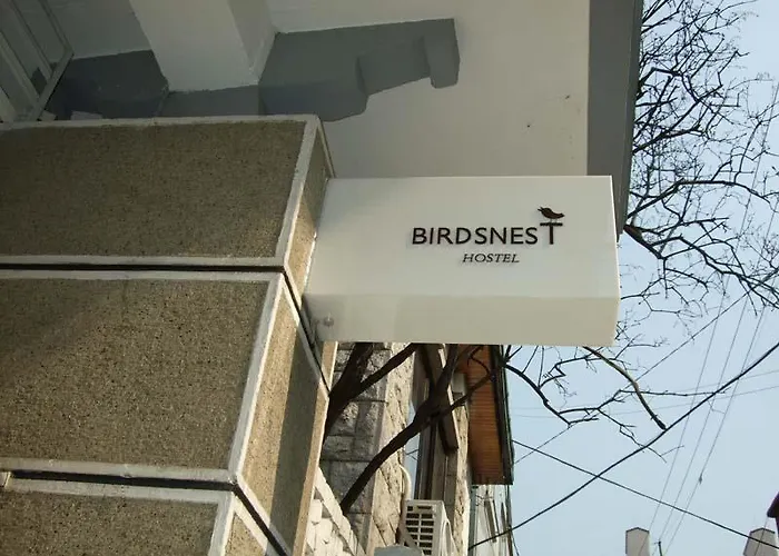 Birdsnest Hongdae Foreigner Only