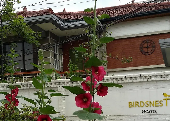 Birdsnest Hongdae Foreigner Only Seúl