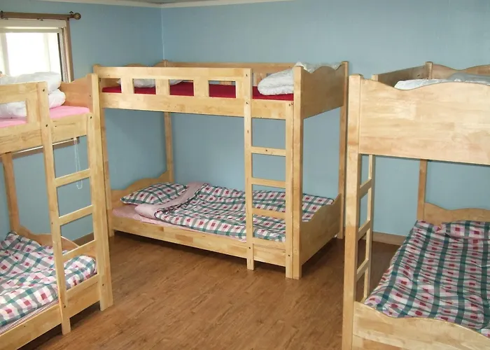 Hostel Birdsnest Hongdae Foreigner Only Seoel